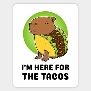 I'm here for the tacos Capybara Taco Magnet